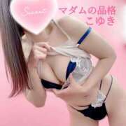 ヒメ日記 2025/05/13 16:01 投稿 こゆき マダムの品格