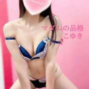 ヒメ日記 2025/05/14 08:25 投稿 こゆき マダムの品格