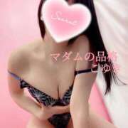 ヒメ日記 2025/05/15 09:03 投稿 こゆき マダムの品格