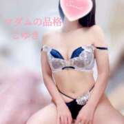 ヒメ日記 2025/05/15 09:21 投稿 こゆき マダムの品格