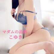 ヒメ日記 2025/05/16 14:45 投稿 こゆき マダムの品格