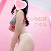 ヒメ日記 2025/05/17 15:46 投稿 こゆき マダムの品格