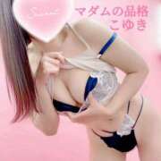 ヒメ日記 2025/05/17 17:55 投稿 こゆき マダムの品格