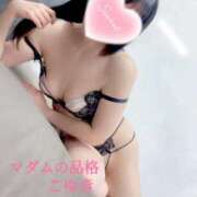 ヒメ日記 2025/05/18 12:00 投稿 こゆき マダムの品格