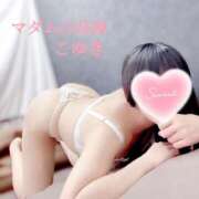 ヒメ日記 2025/05/19 14:22 投稿 こゆき マダムの品格