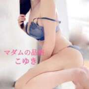 ヒメ日記 2025/05/20 15:40 投稿 こゆき マダムの品格