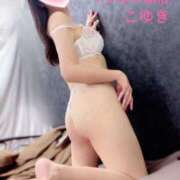 ヒメ日記 2025/05/27 03:15 投稿 こゆき マダムの品格