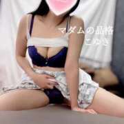 ヒメ日記 2025/05/29 02:36 投稿 こゆき マダムの品格