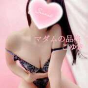 ヒメ日記 2025/05/31 02:46 投稿 こゆき マダムの品格