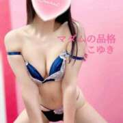 ヒメ日記 2025/06/02 16:01 投稿 こゆき マダムの品格