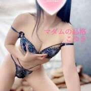 ヒメ日記 2025/06/07 00:07 投稿 こゆき マダムの品格