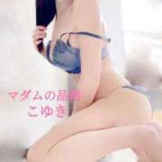 ヒメ日記 2025/06/16 09:10 投稿 こゆき マダムの品格