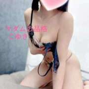 ヒメ日記 2025/06/24 09:33 投稿 こゆき マダムの品格