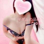 ヒメ日記 2025/07/01 17:47 投稿 こゆき マダムの品格