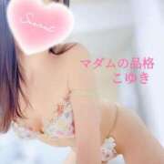 ヒメ日記 2025/07/02 13:50 投稿 こゆき マダムの品格