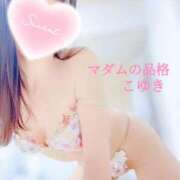 ヒメ日記 2025/07/06 08:13 投稿 こゆき マダムの品格