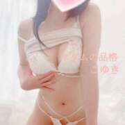 ヒメ日記 2025/07/08 17:55 投稿 こゆき マダムの品格