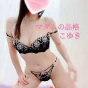 ヒメ日記 2025/07/12 16:03 投稿 こゆき マダムの品格