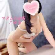 ヒメ日記 2025/07/13 03:54 投稿 こゆき マダムの品格