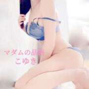 ヒメ日記 2025/07/14 09:44 投稿 こゆき マダムの品格