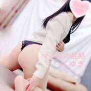 ヒメ日記 2025/07/14 15:00 投稿 こゆき マダムの品格