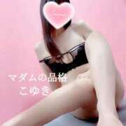 ヒメ日記 2025/07/16 00:58 投稿 こゆき マダムの品格