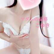 ヒメ日記 2025/07/23 16:27 投稿 こゆき マダムの品格