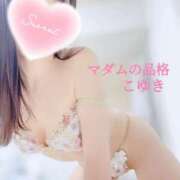 ヒメ日記 2025/07/25 11:59 投稿 こゆき マダムの品格