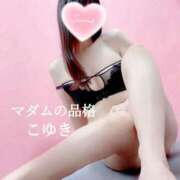 ヒメ日記 2025/07/28 13:59 投稿 こゆき マダムの品格