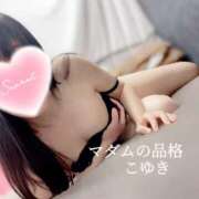 ヒメ日記 2025/07/28 14:17 投稿 こゆき マダムの品格