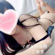 ヒメ日記 2025/08/04 08:23 投稿 こゆき マダムの品格