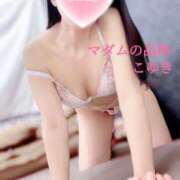 ヒメ日記 2025/08/15 13:11 投稿 こゆき マダムの品格