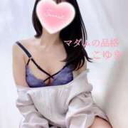 ヒメ日記 2025/08/19 01:31 投稿 こゆき マダムの品格