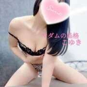 ヒメ日記 2025/08/19 08:09 投稿 こゆき マダムの品格