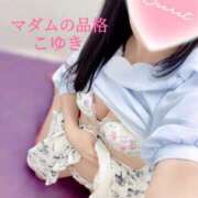 ヒメ日記 2025/08/23 14:11 投稿 こゆき マダムの品格