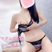 ヒメ日記 2025/08/25 04:24 投稿 こゆき マダムの品格