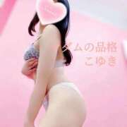 ヒメ日記 2025/08/25 04:50 投稿 こゆき マダムの品格