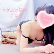 ヒメ日記 2025/08/27 14:25 投稿 こゆき マダムの品格