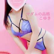 ヒメ日記 2025/08/28 17:52 投稿 こゆき マダムの品格