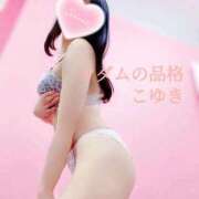 ヒメ日記 2025/08/30 14:57 投稿 こゆき マダムの品格