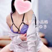 ヒメ日記 2025/09/10 03:59 投稿 こゆき マダムの品格