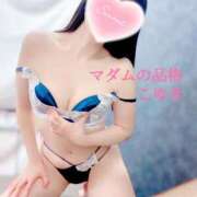 ヒメ日記 2025/09/12 07:50 投稿 こゆき マダムの品格