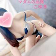 ヒメ日記 2025/09/14 04:32 投稿 こゆき マダムの品格