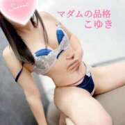 ヒメ日記 2025/09/14 09:15 投稿 こゆき マダムの品格