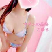 ヒメ日記 2025/09/14 15:15 投稿 こゆき マダムの品格