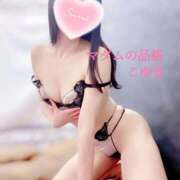 ヒメ日記 2025/09/16 04:42 投稿 こゆき マダムの品格