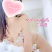 ヒメ日記 2025/09/25 17:24 投稿 こゆき マダムの品格