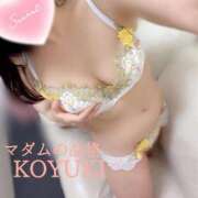 ヒメ日記 2025/09/27 16:36 投稿 こゆき マダムの品格