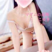 ヒメ日記 2025/10/10 18:53 投稿 こゆき マダムの品格