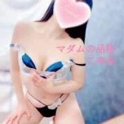 ヒメ日記 2025/10/12 15:59 投稿 こゆき マダムの品格